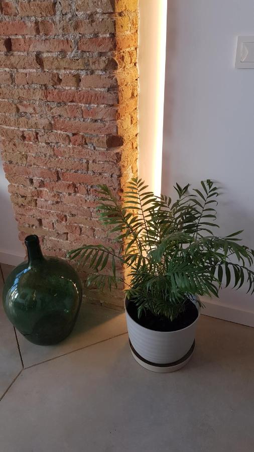 Loft Mariola - Apartamento En El Centro Historico 波凯兰特 外观 照片